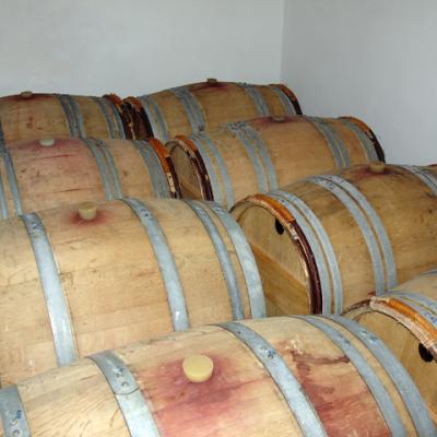 Pagonas Winery 15